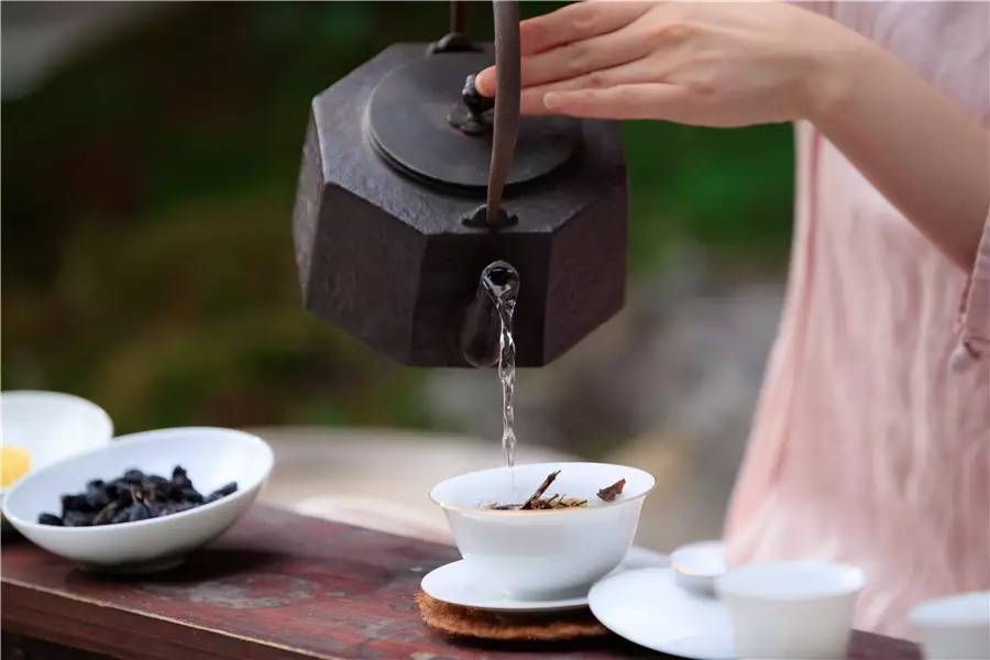 觀芷隱軒，以茶會友的民宿