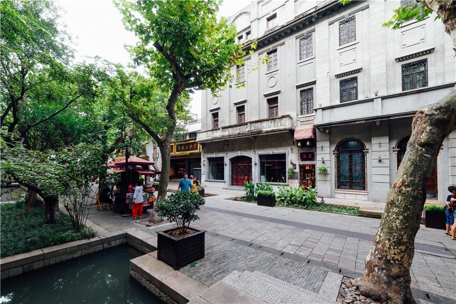 觀芷隱軒，以茶會友的民宿