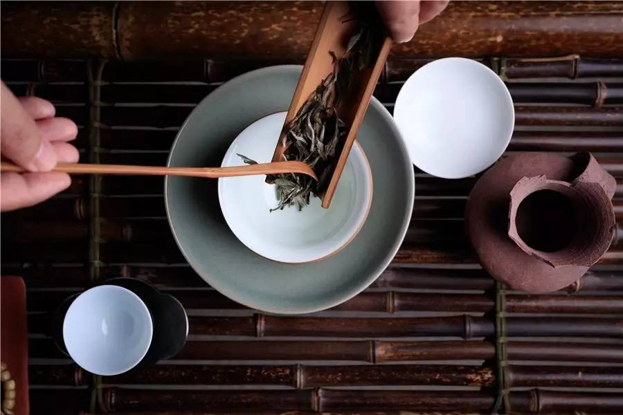 觀芷隱軒，以茶會友的民宿