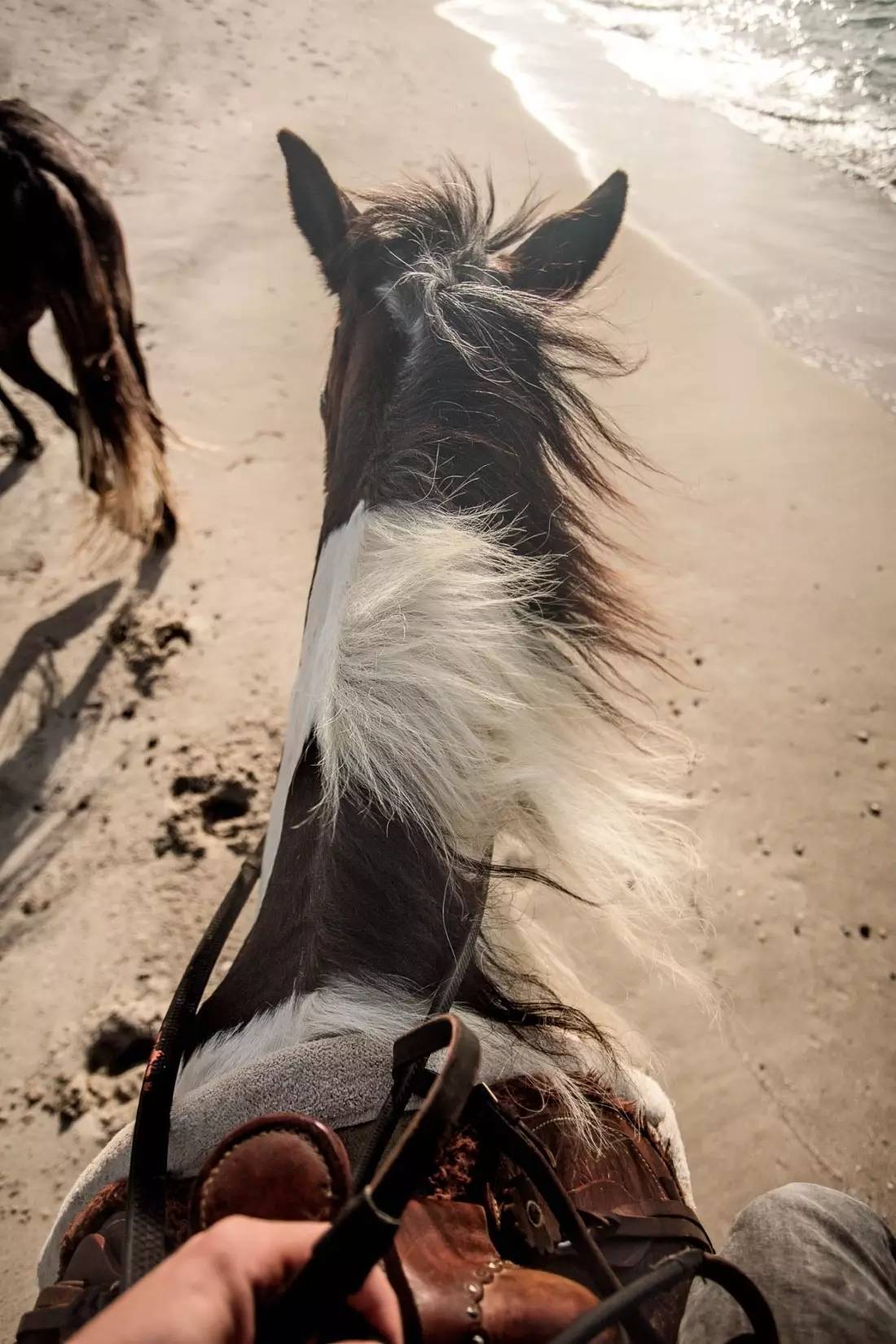民宿的最高境界，Casa Cook Kos民宿酒店侘寂之美