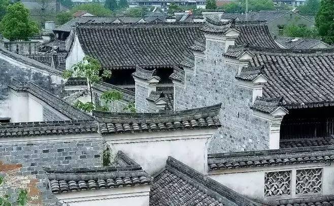 慈舍，悲喜隱去慈從舍生