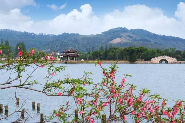 慈舍，悲喜隱去慈從舍生