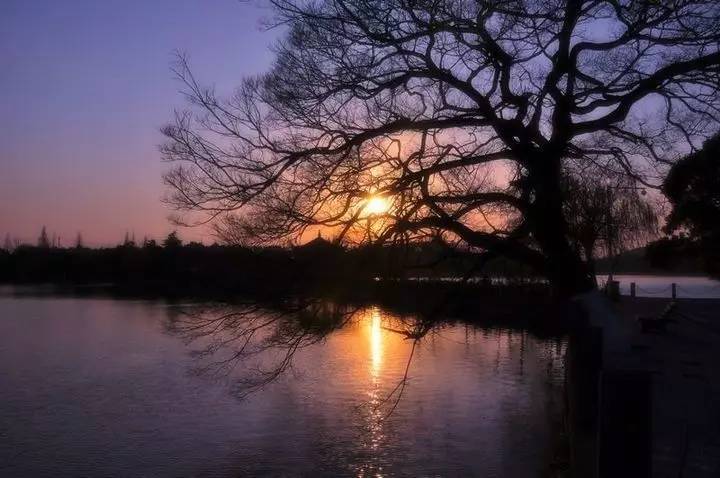 慈舍，悲喜隱去慈從舍生