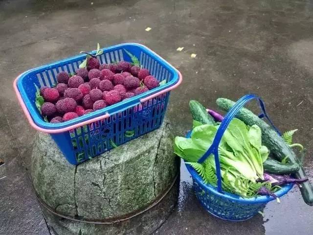 慈舍，悲喜隱去慈從舍生