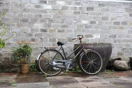 慈舍，悲喜隱去慈從舍生