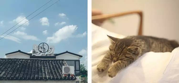 小日子生活館，選一本書過自己的生活方式