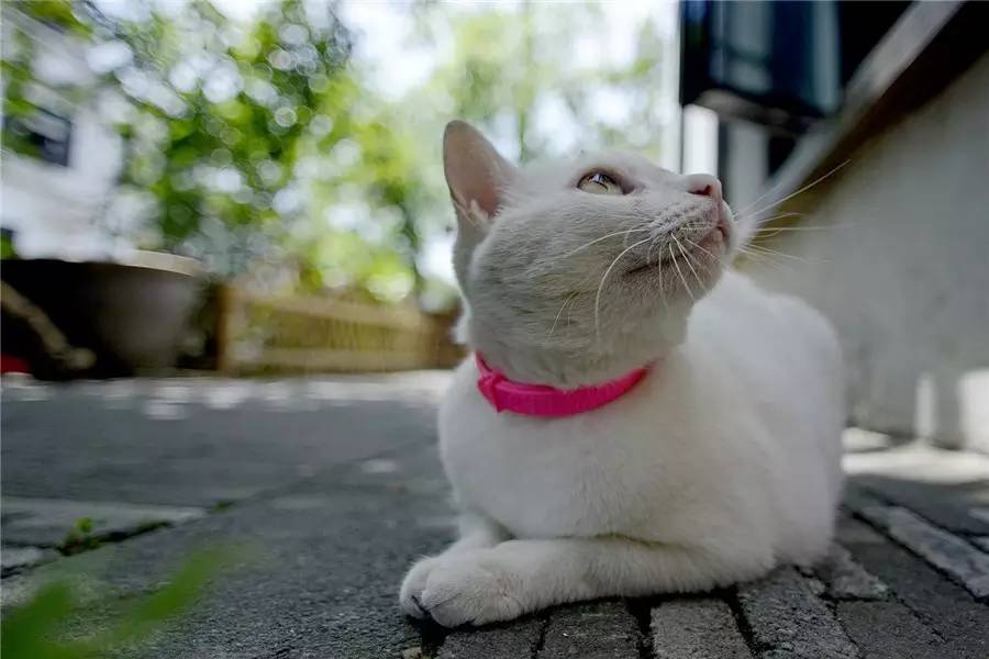 小日子生活館，選一本書過自己的生活方式