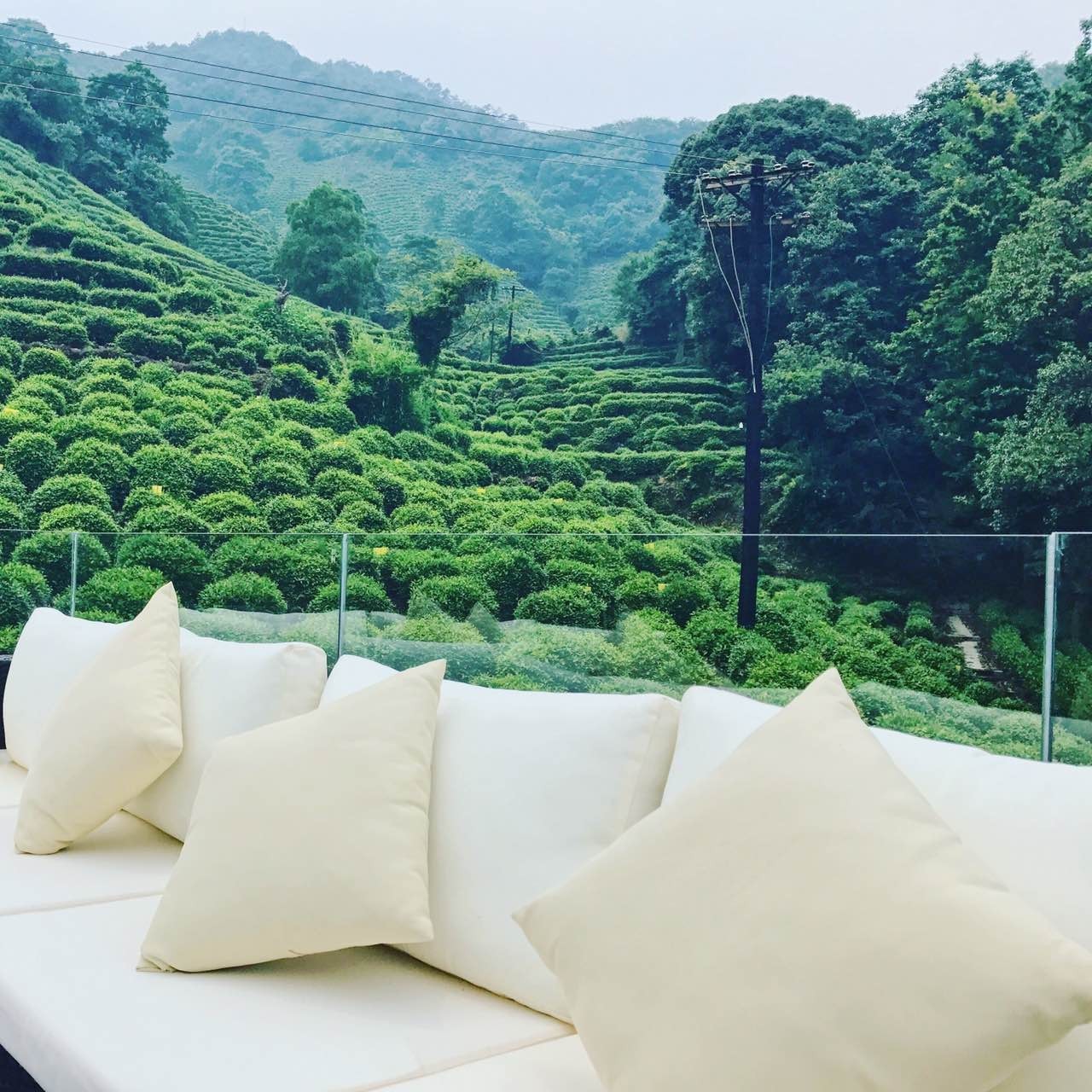 杭州龍井茂居民宿，在茶田之中枕著茶香入睡