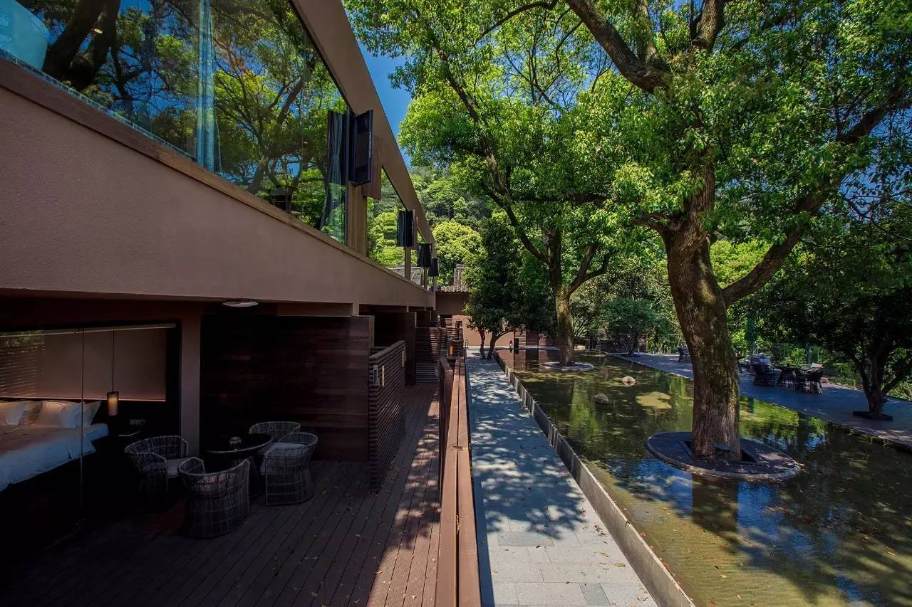 杭州龍井茂居民宿，在茶田之中枕著茶香入睡