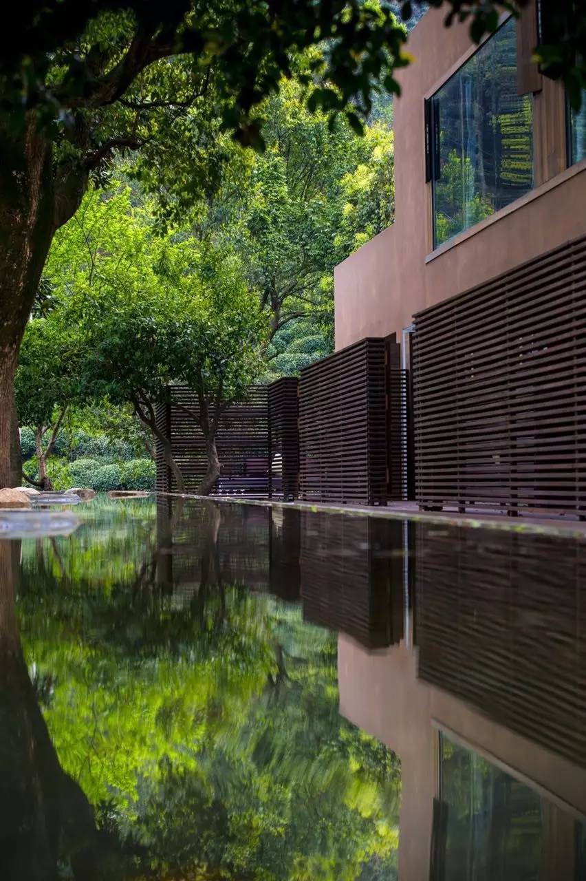 杭州龍井茂居民宿，在茶田之中枕著茶香入睡