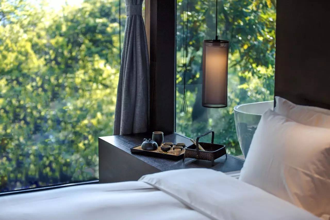 杭州龍井茂居民宿，在茶田之中枕著茶香入睡