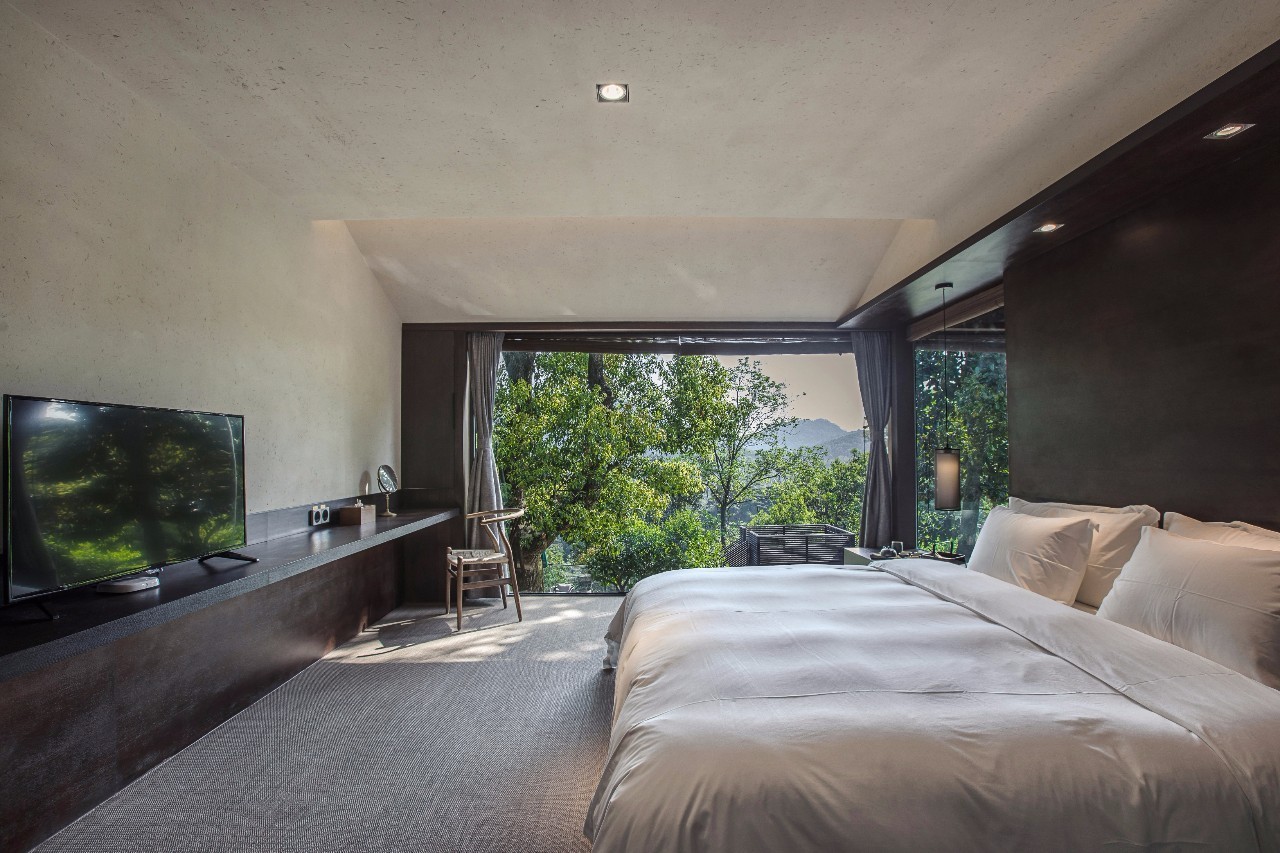 杭州龍井茂居民宿，在茶田之中枕著茶香入睡