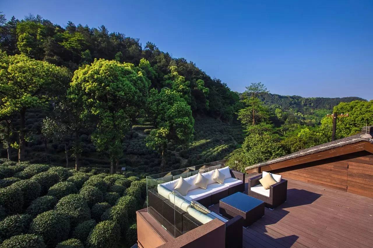 杭州龍井茂居民宿，在茶田之中枕著茶香入睡