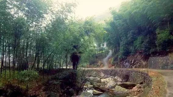 上虞陳溪鄉(xiāng)雪花谷民宿，在山谷里與自然相伴