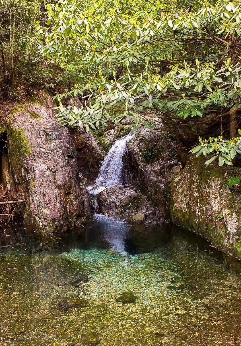 上虞陳溪鄉(xiāng)雪花谷民宿，在山谷里與自然相伴