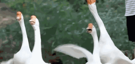 上虞陳溪鄉(xiāng)雪花谷民宿，在山谷里與自然相伴