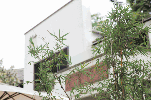 青桐·青竹茶舍，茶香縹緲靜賞西湖