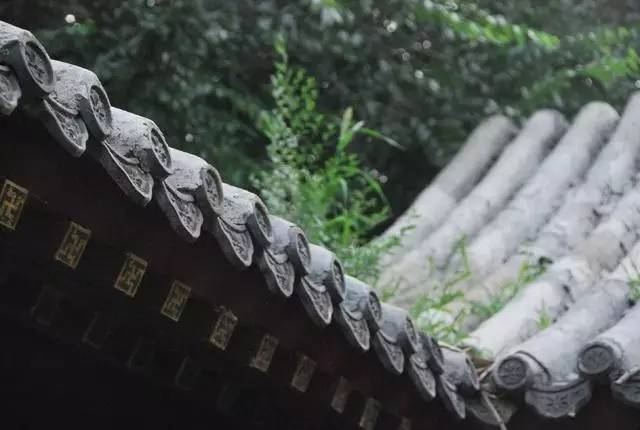 武義一水間民宿，一茶一飲盡享清閑