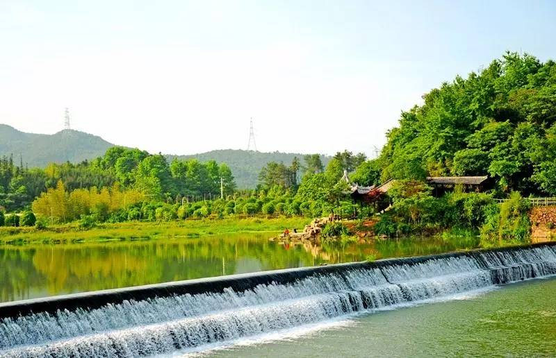 武義一水間民宿，一茶一飲盡享清閑