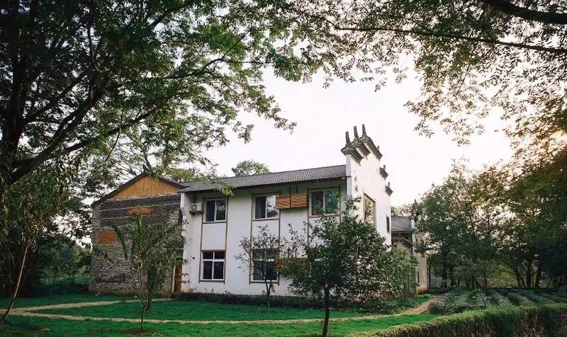 武義一水間民宿，一茶一飲盡享清閑