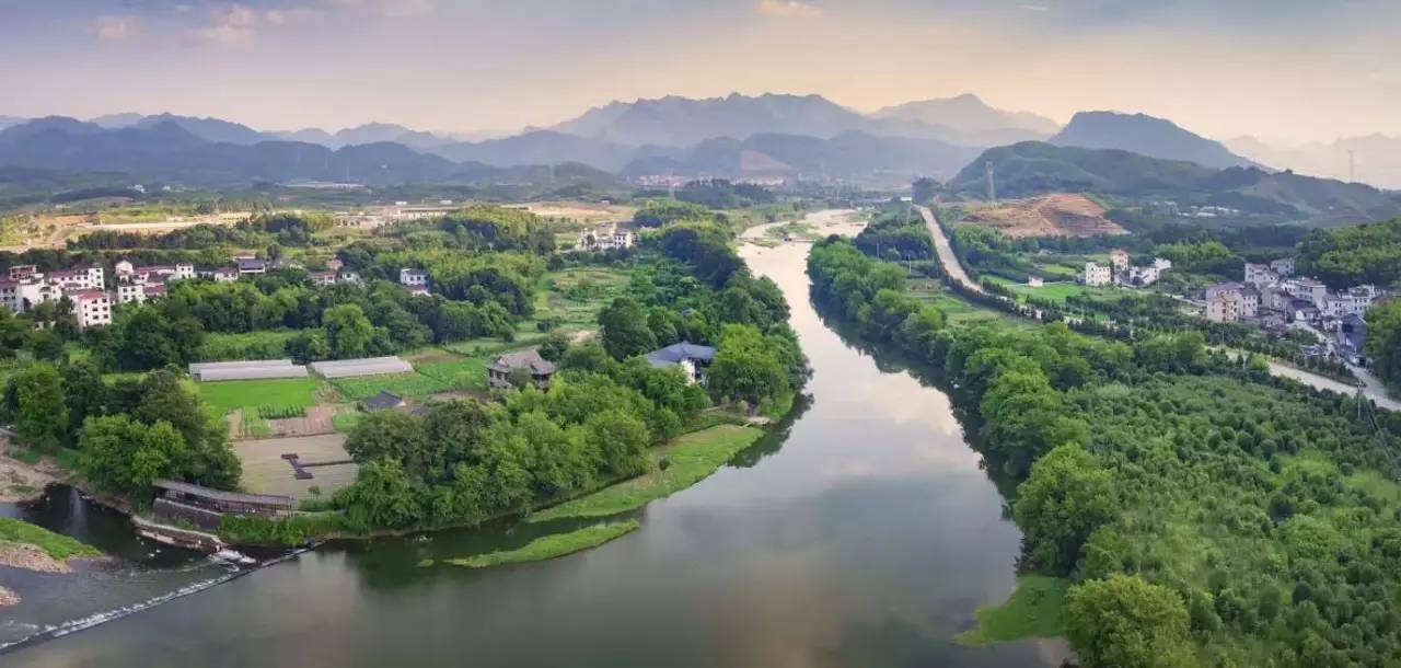 武義一水間民宿，一茶一飲盡享清閑