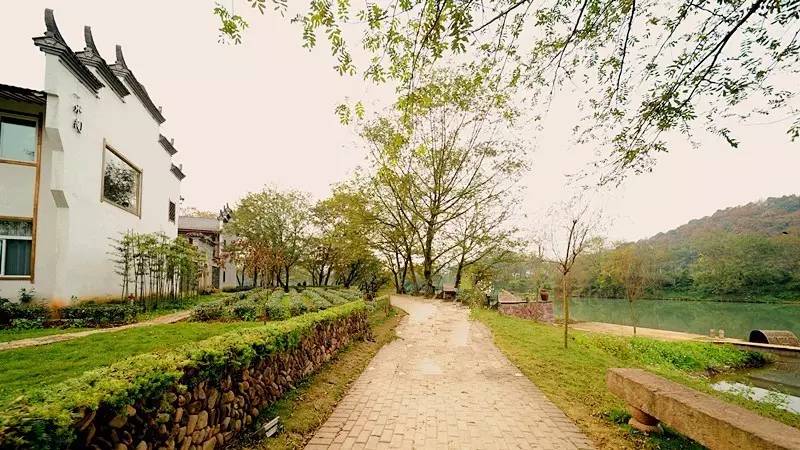 武義一水間民宿，一茶一飲盡享清閑