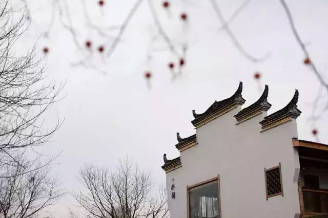 武義一水間民宿，一茶一飲盡享清閑