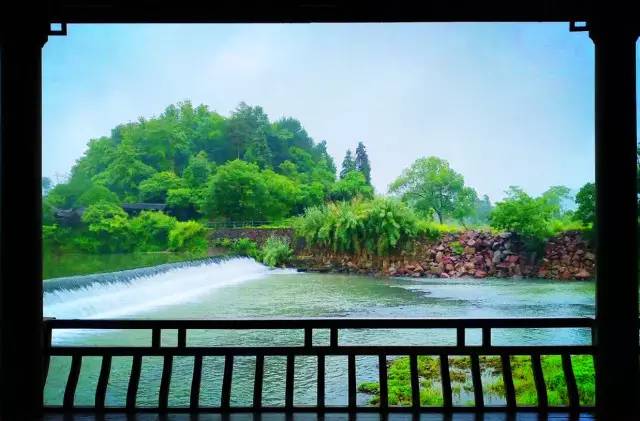 武義一水間民宿，一茶一飲盡享清閑