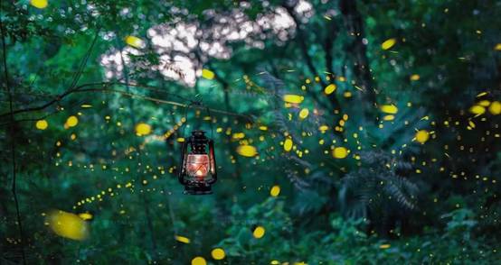 武義一水間民宿，一茶一飲盡享清閑