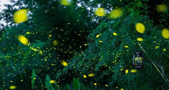 武義一水間民宿，一茶一飲盡享清閑