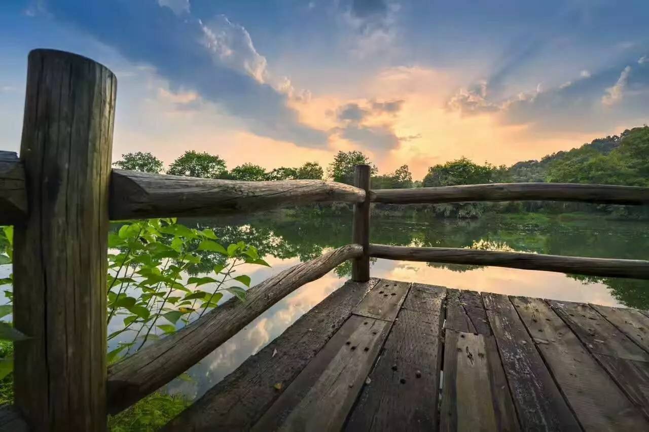 武義一水間民宿，一茶一飲盡享清閑