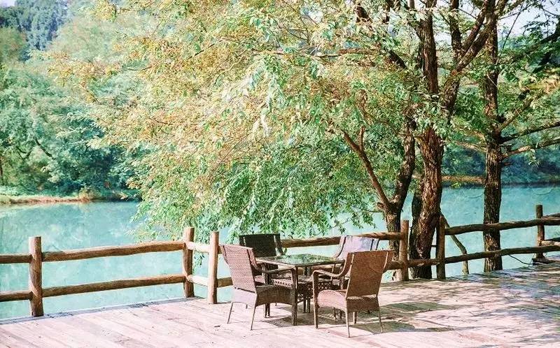 武義一水間民宿，一茶一飲盡享清閑