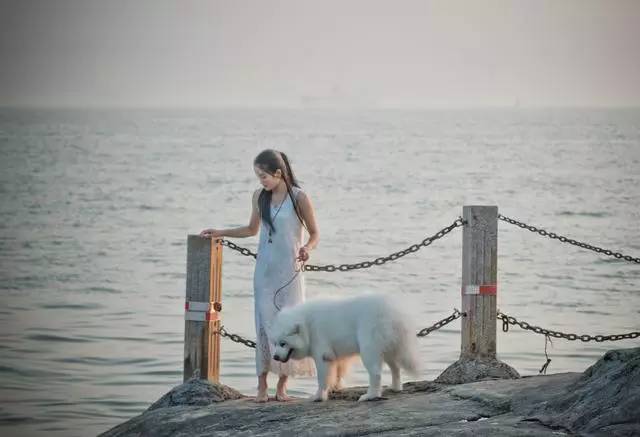 悠然別苑民宿設(shè)計(jì)，聽海風(fēng)的聲音