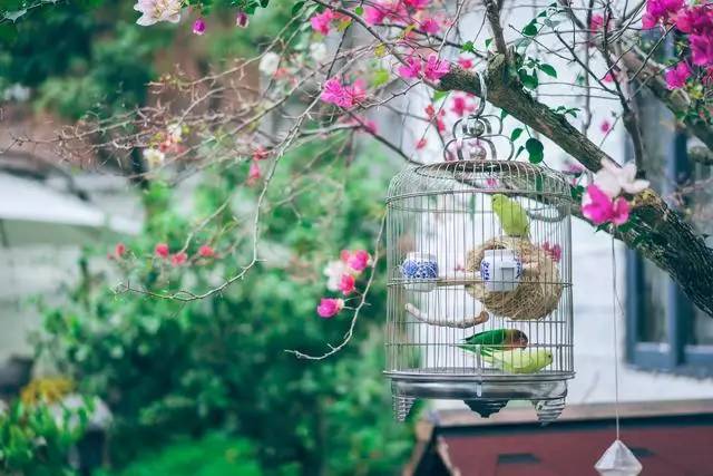 悠然別苑民宿設(shè)計(jì)，聽海風(fēng)的聲音