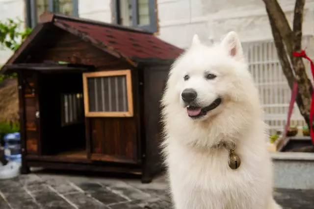 悠然別苑民宿設(shè)計(jì)，聽(tīng)海風(fēng)的聲音