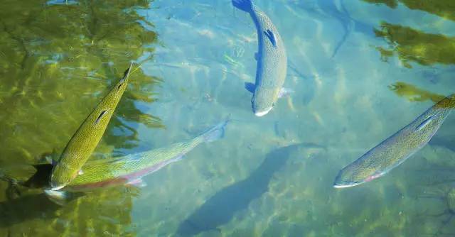 中香界長城小院，向往的最初生活