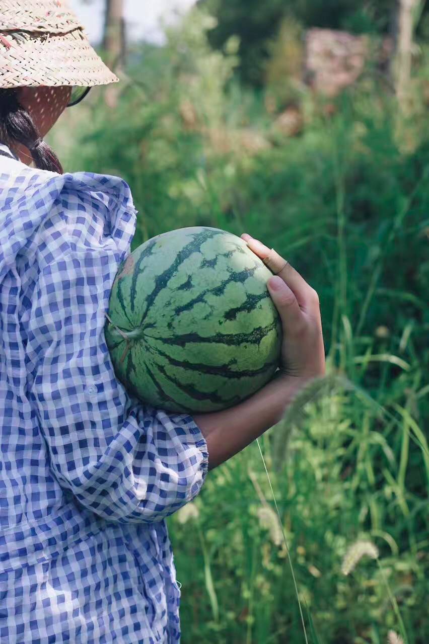 西坡千島湖民宿酒店，瓦爾登湖的自由生活
