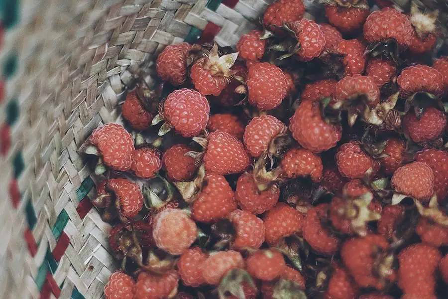 西坡千島湖民宿酒店，瓦爾登湖的自由生活