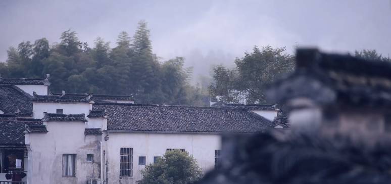 南屏喜舍民宿，從南方飛入徽州白墻灰瓦的歸燕