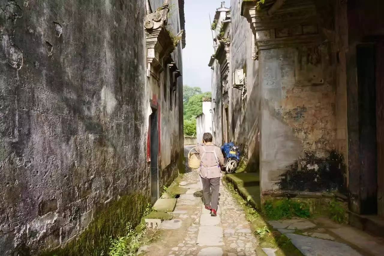 南屏喜舍民宿，從南方飛入徽州白墻灰瓦的歸燕