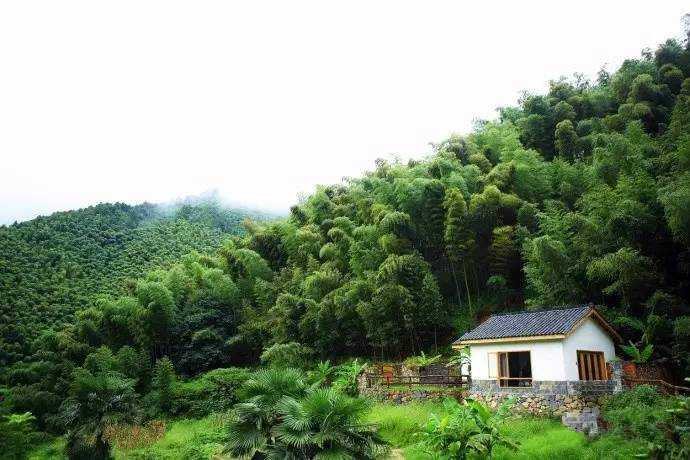 桐廬秘境民宿，不一樣人間秘境山鄉(xiāng)生活