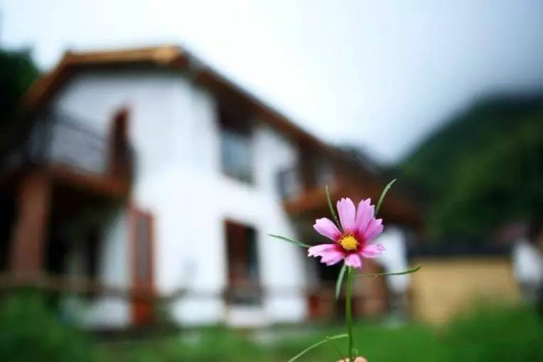 桐廬秘境民宿，不一樣人間秘境山鄉(xiāng)生活