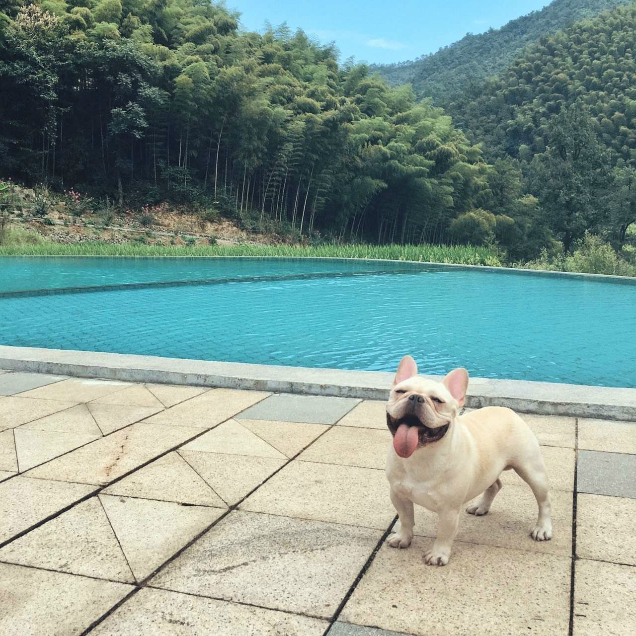 桐廬秘境民宿，不一樣人間秘境山鄉(xiāng)生活