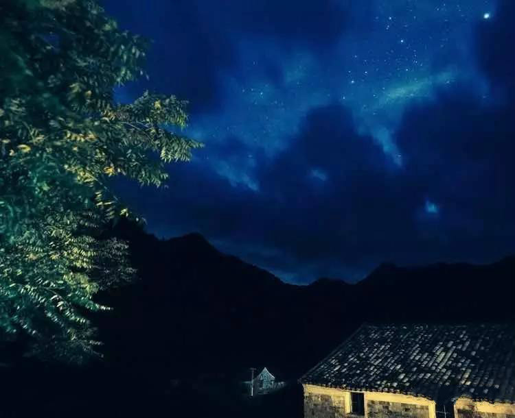 草宿民宿，愿做一顆草向往山間無拘無束的生活