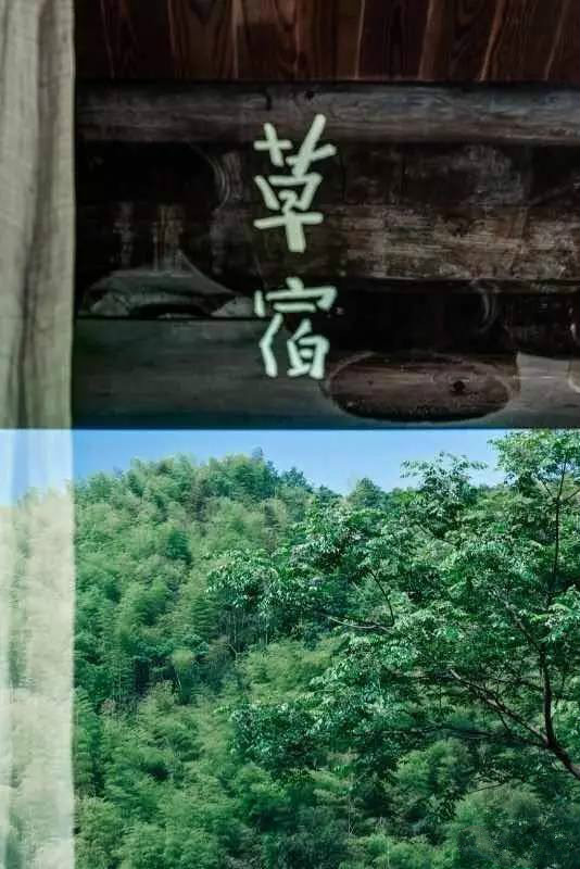 草宿民宿，愿做一顆草向往山間無拘無束的生活