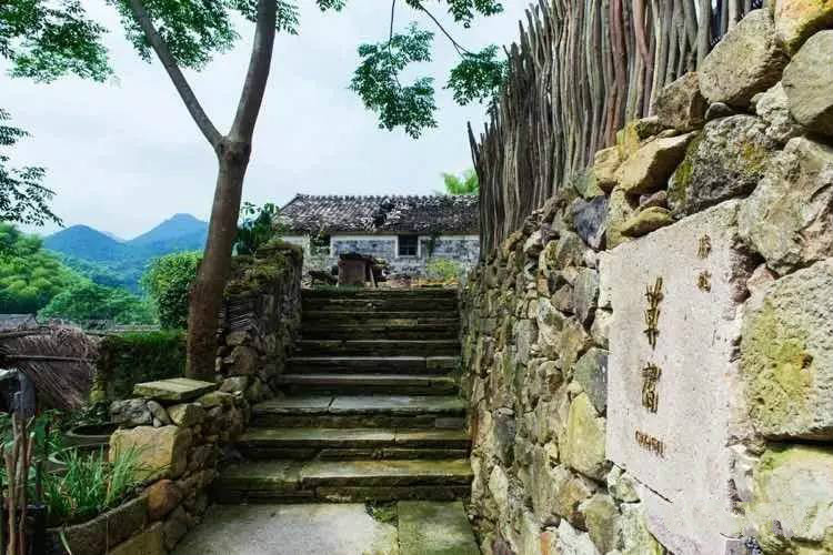 草宿民宿，愿做一顆草向往山間無拘無束的生活