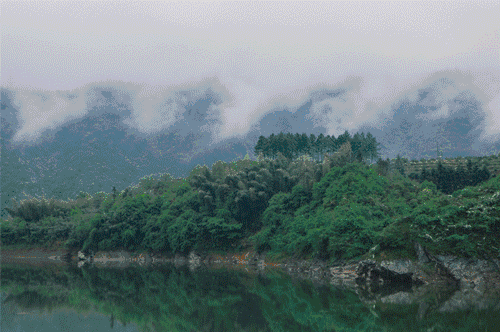 草宿民宿，愿做一顆草向往山間無拘無束的生活