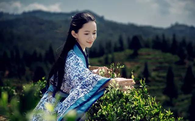 熹園茶宿，禪茶一宿悠然山水間