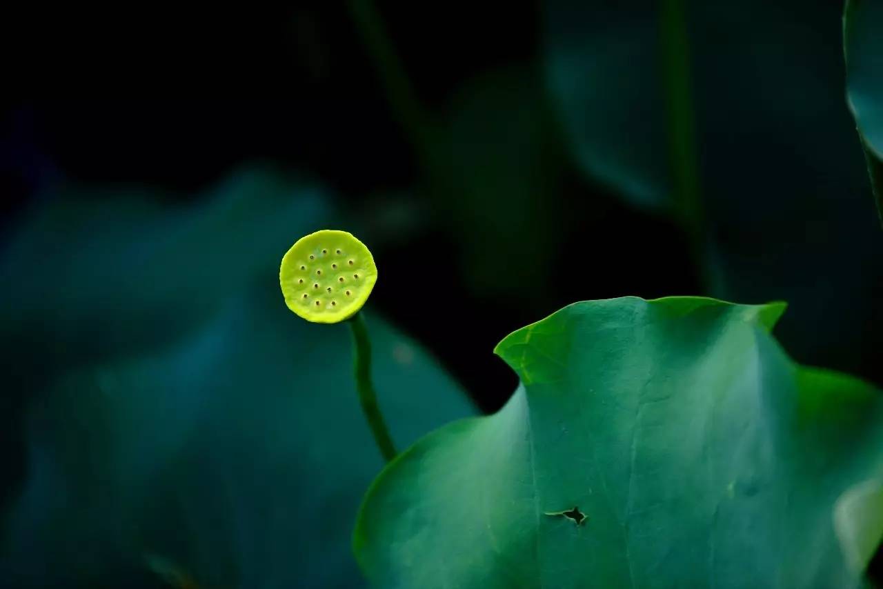 熹園茶宿，禪茶一宿悠然山水間