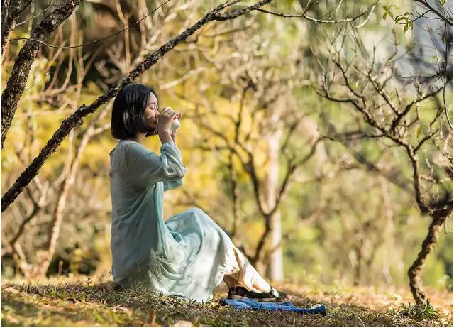 熹園茶宿，禪茶一宿悠然山水間